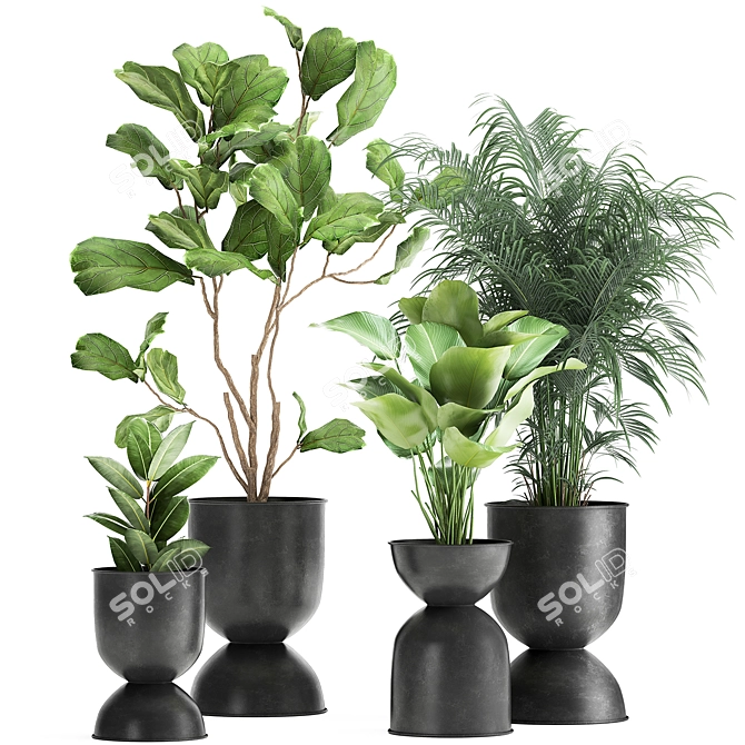 Exotic Plant Collection in Stylish Metal Pots 3D model image 1