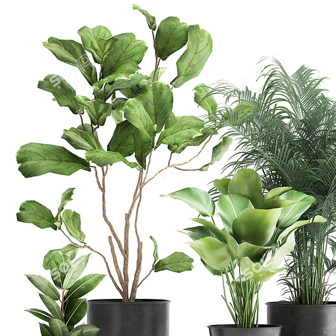 Exotic Plant Collection in Stylish Metal Pots 3D model image 2