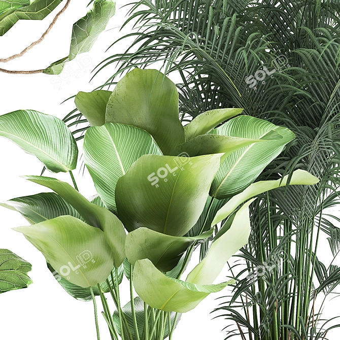 Exotic Plant Collection in Stylish Metal Pots 3D model image 5