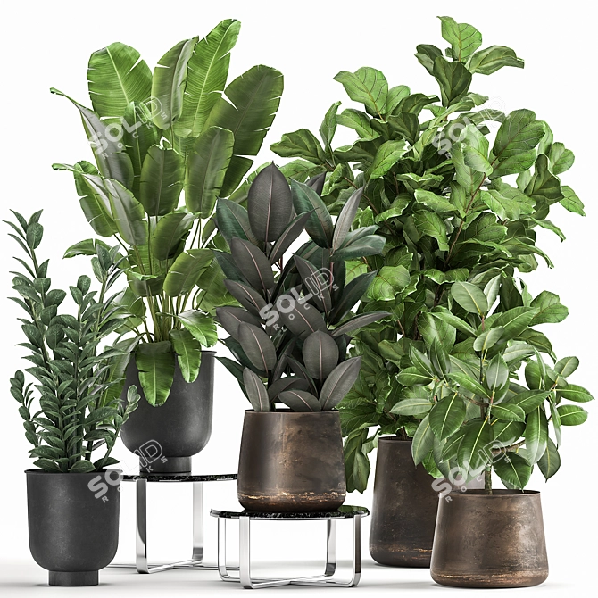 Exotic Plant Collection in Metal Pots 3D model image 1