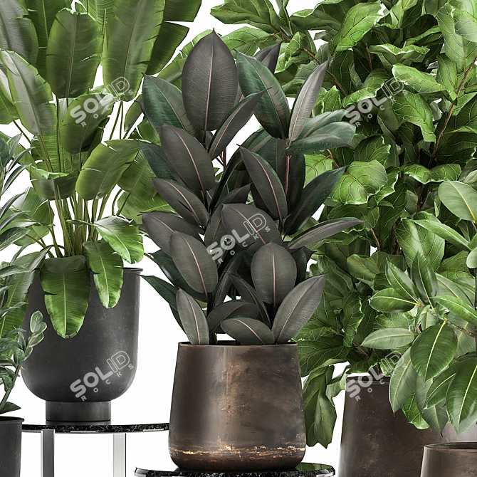 Exotic Plant Collection in Metal Pots 3D model image 3