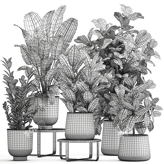 Exotic Plant Collection in Metal Pots 3D model image 7