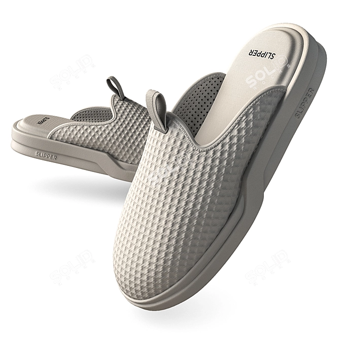 Title: Texture-Changeable Slippers 3D model image 1