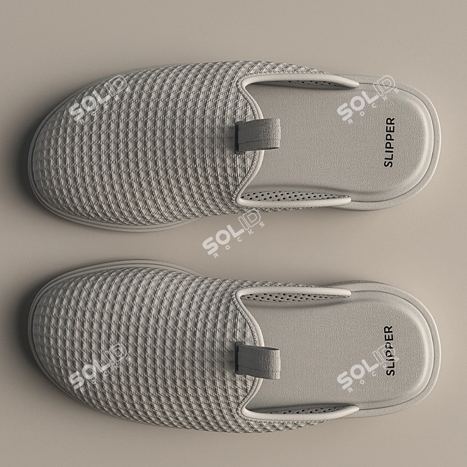 Title: Texture-Changeable Slippers 3D model image 5