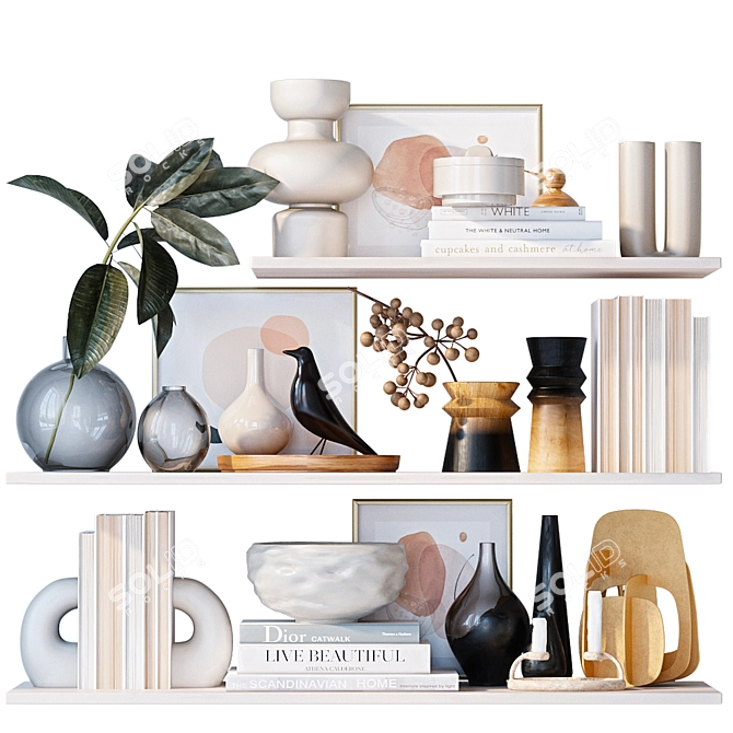 Decorative Shelves with Vases & Books 3D model image 1
