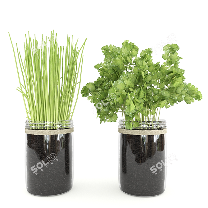 Botanical Bliss Kitchen Plants Set 3D model image 4