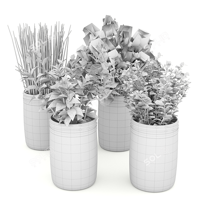 Botanical Bliss Kitchen Plants Set 3D model image 5