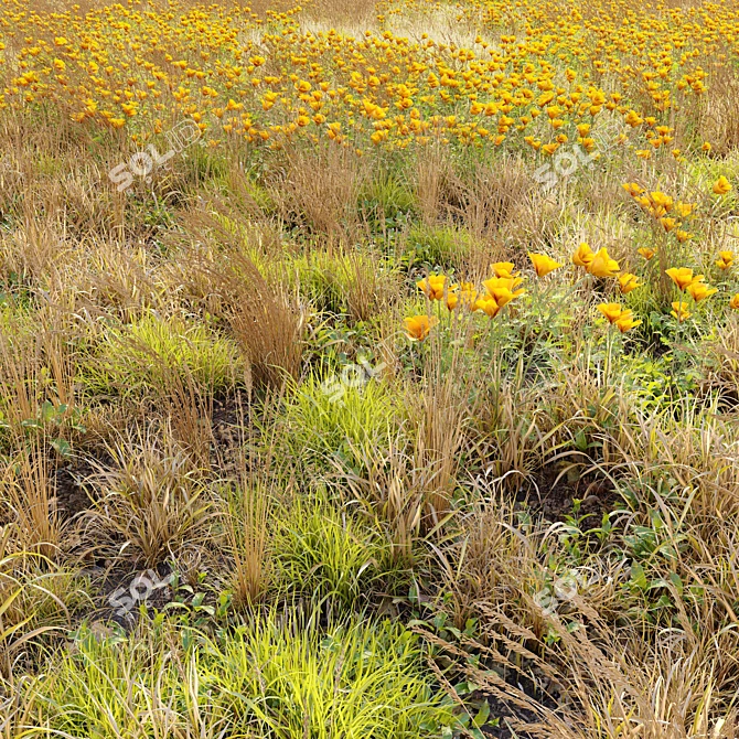 Meadow 5: Scattered Plants & Flowers 3D model image 1