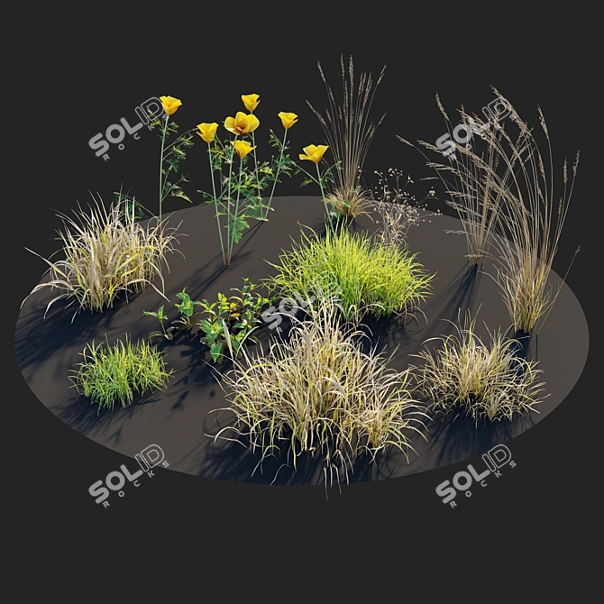 Meadow 5: Scattered Plants & Flowers 3D model image 3