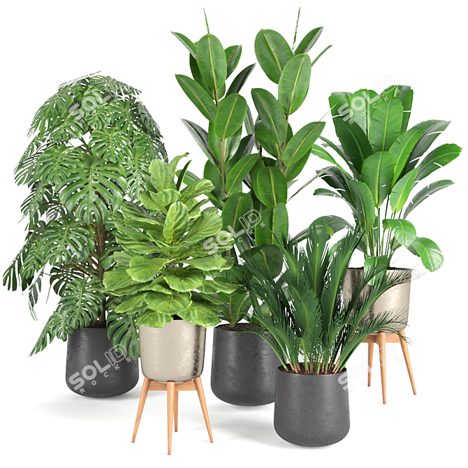 Botanical Bliss: RPM Plant Collection 3D model image 1