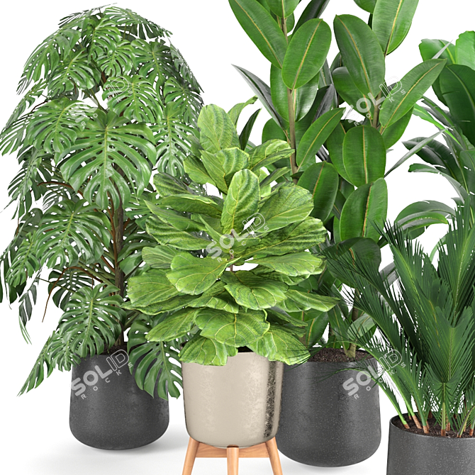 Botanical Bliss: RPM Plant Collection 3D model image 2