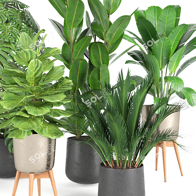 Botanical Bliss: RPM Plant Collection 3D model image 3