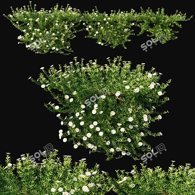 Aussie Rambler 03: Versatile 3D Model 3D model image 1