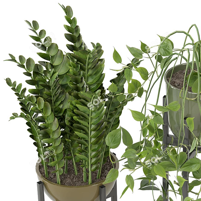 Ferm Living Bau Pot Large - Set 0076: Stylish Indoor Plants 3D model image 2