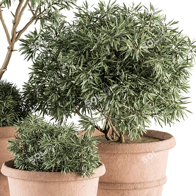 Vintage Pot Plant Set 3D model image 3