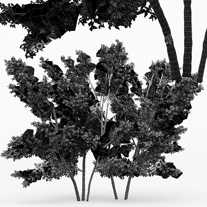 Unique Duo Hazel Trees: 4m & 3.7m 3D model image 3
