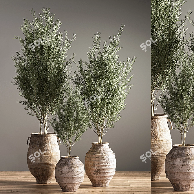 Green Oasis Indoor Plant Set 3D model image 2