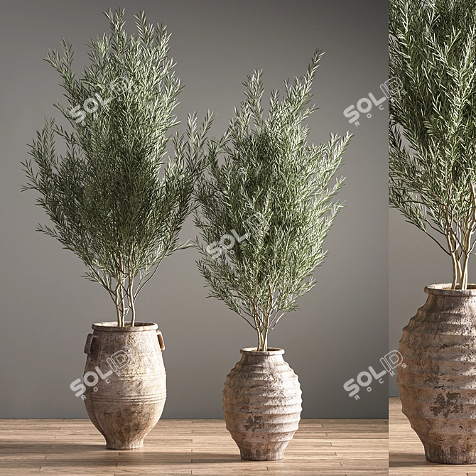 Green Oasis Indoor Plant Set 3D model image 3