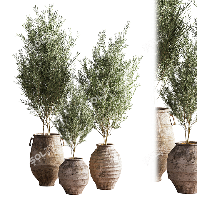 Green Oasis Indoor Plant Set 3D model image 9