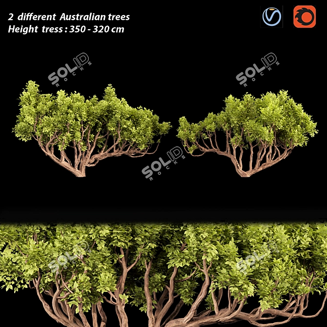 Australian Tree Collection: Vol. 29 3D model image 1