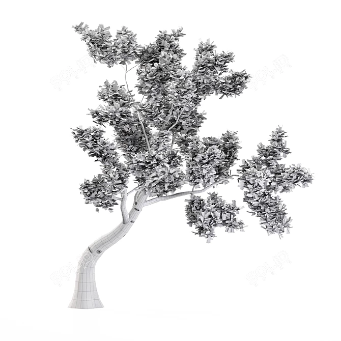 Outdoor Bonsai - 2016 Model 3D model image 4