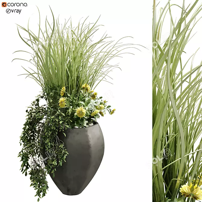 Modern Indoor Plant Set 3D model image 1