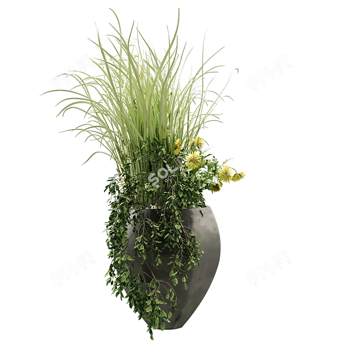 Modern Indoor Plant Set 3D model image 6