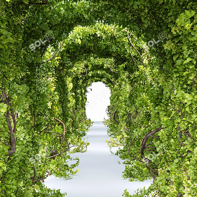 Enchanting Tree Tunnel Sculpted 3D model image 3