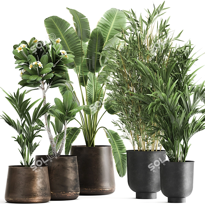 Tropical Oasis: Exotic Plants in Rustic Metal Pots 3D model image 1