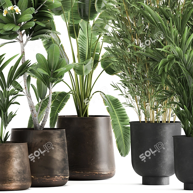 Tropical Oasis: Exotic Plants in Rustic Metal Pots 3D model image 2