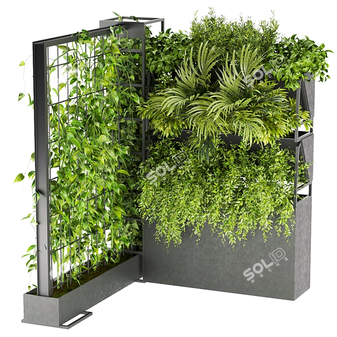 Indoor Plant Collection: Ivy & Pothos Hanging 3D model image 1