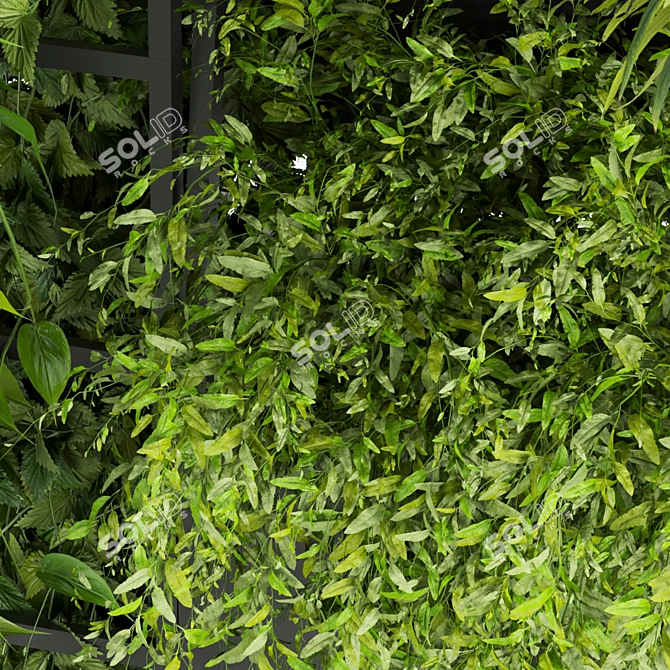 Indoor Plant Collection: Ivy & Pothos Hanging 3D model image 5