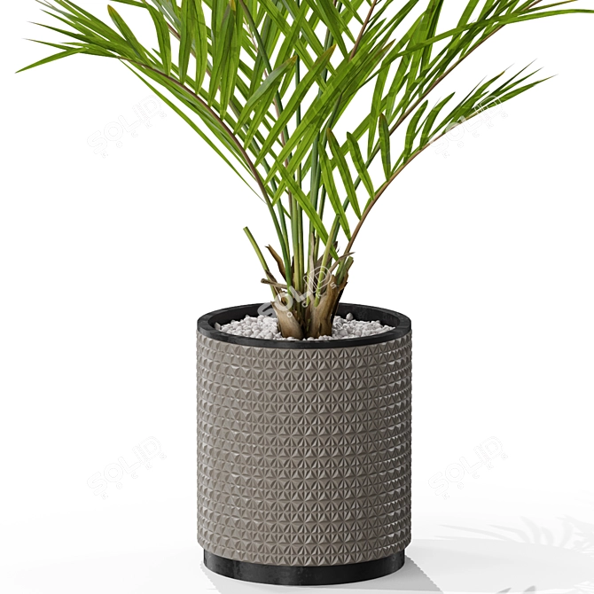 Greenery Haven: 580 Exquisite Plants 3D model image 2