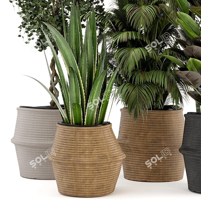 Natural Beauty: Wicker Basket Indoor Plants 3D model image 2