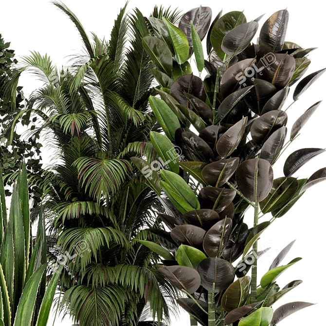 Natural Beauty: Wicker Basket Indoor Plants 3D model image 3