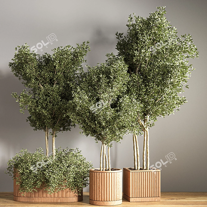 Green Oasis Indoor Plant Set 3D model image 2