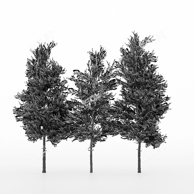 Variety of Carolina Buckthorn Trees 3D model image 3