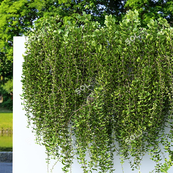 Dazzling Wall Hanging Plants 3D model image 4