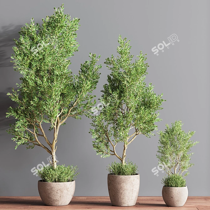 57-Piece Indoor Plant Set: Beautiful 3D Models 3D model image 3