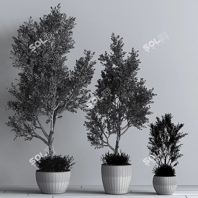 57-Piece Indoor Plant Set: Beautiful 3D Models 3D model image 5