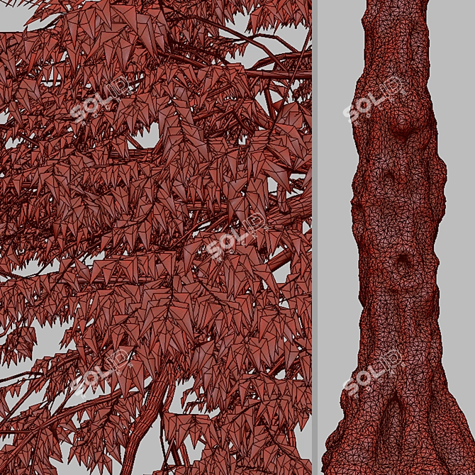Rare Black Ash Tree Set (2 Trees) 3D model image 7