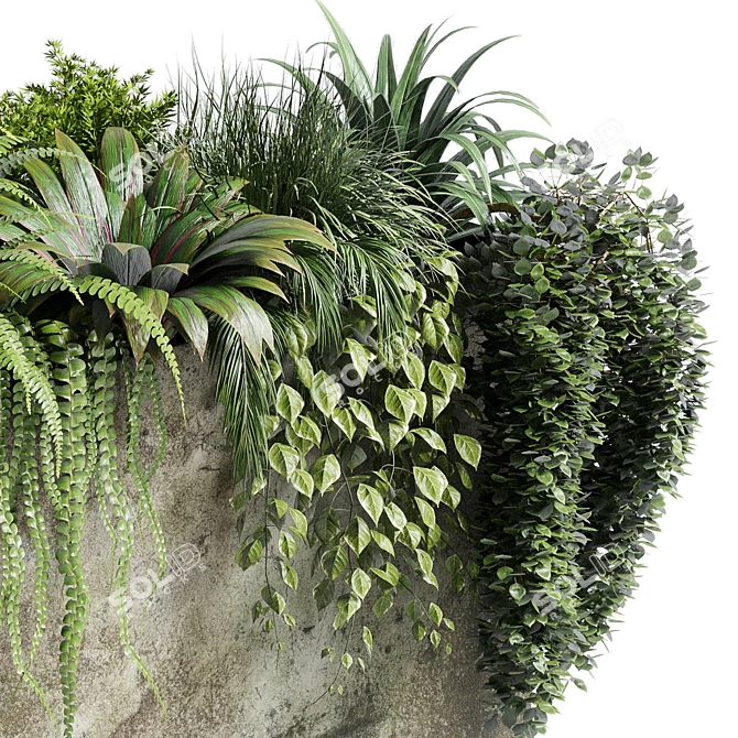 Dirty Concrete Vase Stand: Outdoor & Indoor Plant Collection 3D model image 4