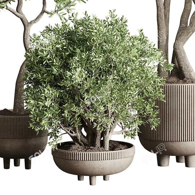 Concrete Pot Collection: Indoor Outdoor Plant Vase 3D model image 4