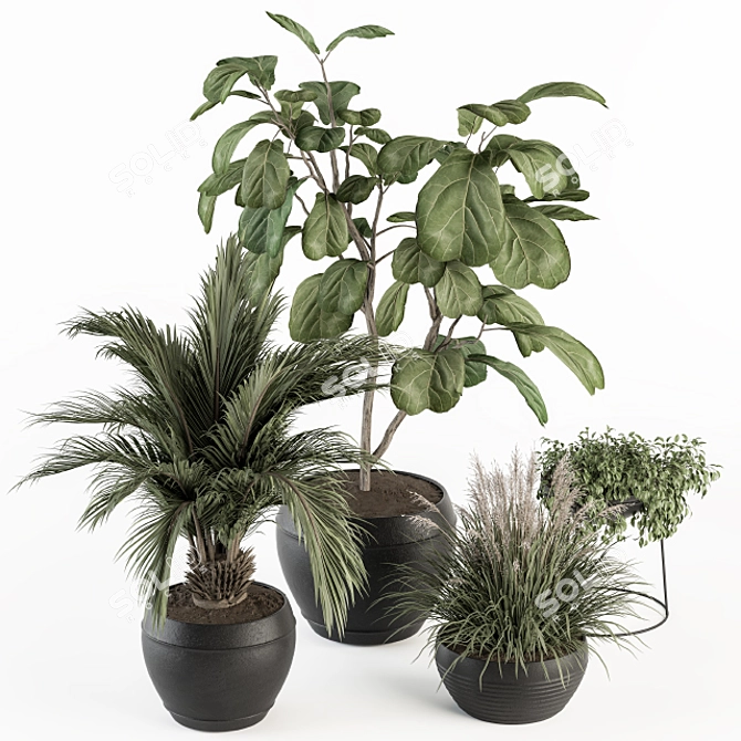 Lush Greenery Indoor Plant Set 3D model image 1