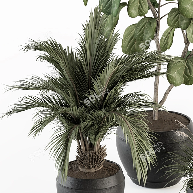 Lush Greenery Indoor Plant Set 3D model image 2