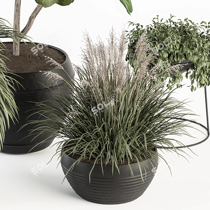 Lush Greenery Indoor Plant Set 3D model image 4