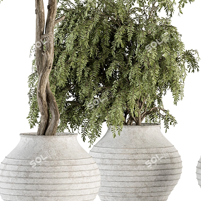 Vintage Pot Plant Set - Outdoor Elegance 3D model image 3