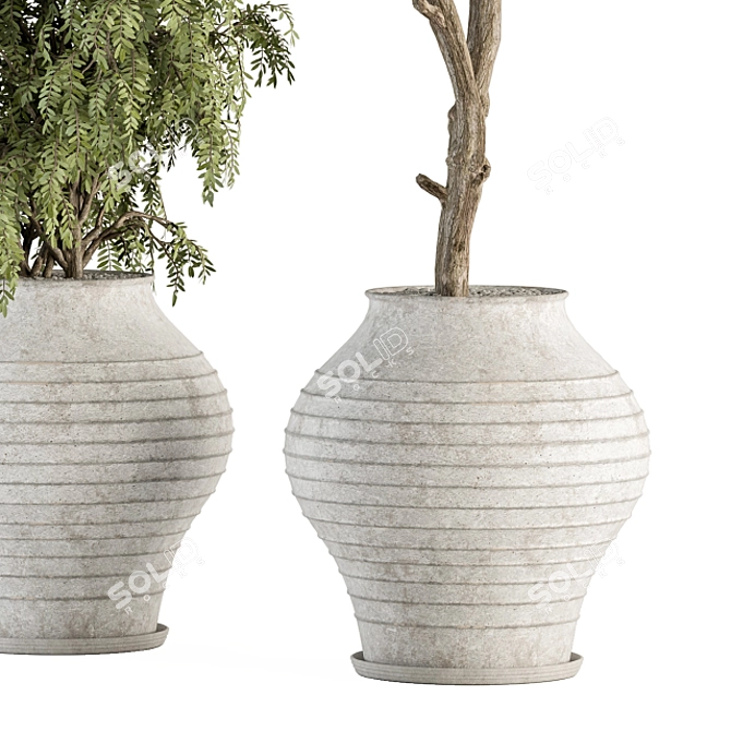 Vintage Pot Plant Set - Outdoor Elegance 3D model image 4