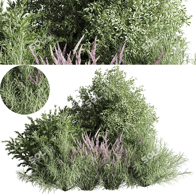 Nature's Blend: Mixed Plant & Bush 3D model image 1