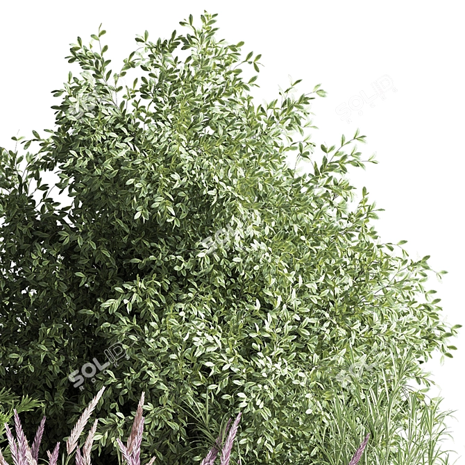 Nature's Blend: Mixed Plant & Bush 3D model image 2